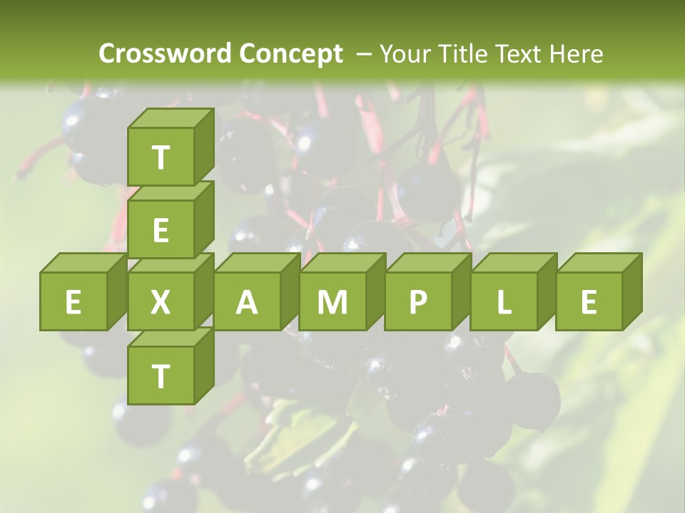 Berry Fruit Elderberry Black PowerPoint Template