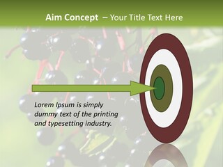 Berry Fruit Elderberry Black PowerPoint Template
