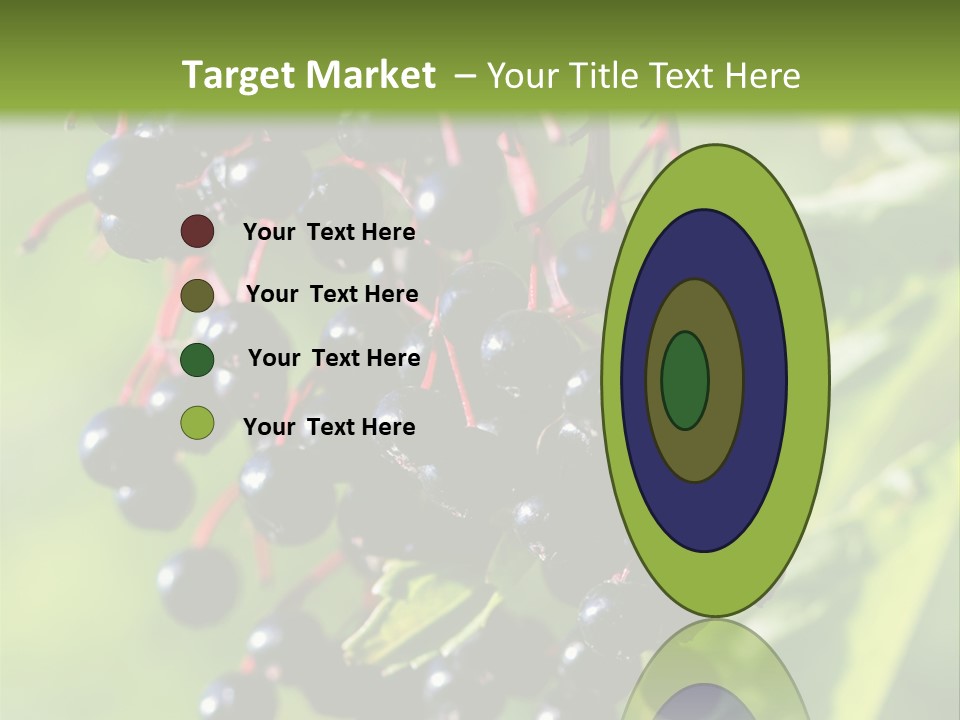 Berry Fruit Elderberry Black PowerPoint Template