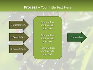 Berry Fruit Elderberry Black PowerPoint Template