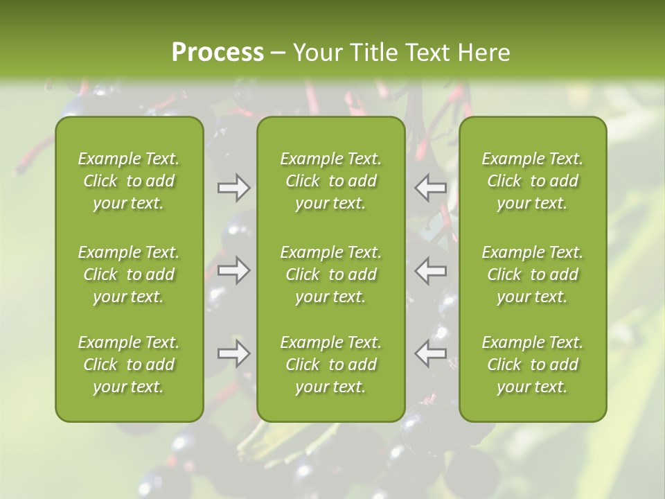 Berry Fruit Elderberry Black PowerPoint Template