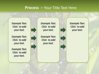 Berry Fruit Elderberry Black PowerPoint Template