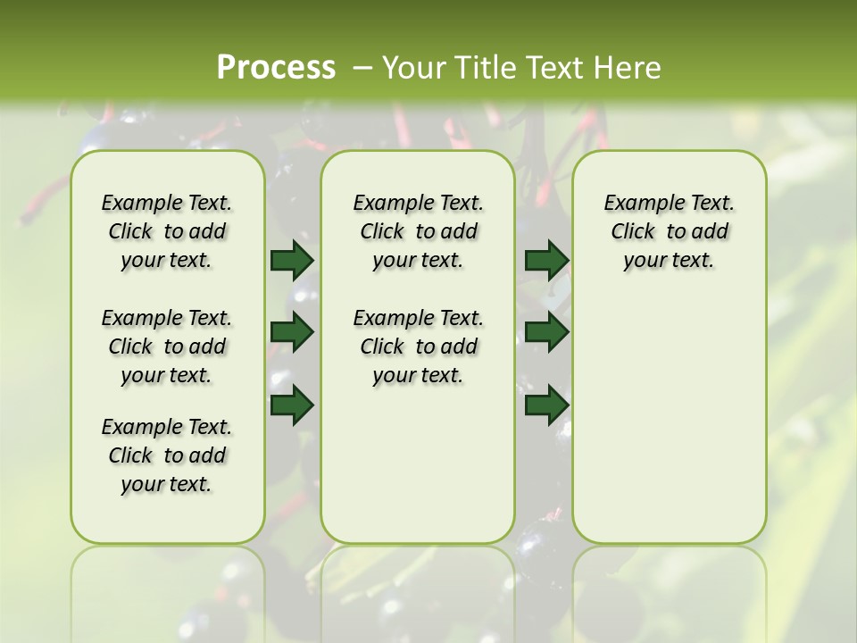 Berry Fruit Elderberry Black PowerPoint Template