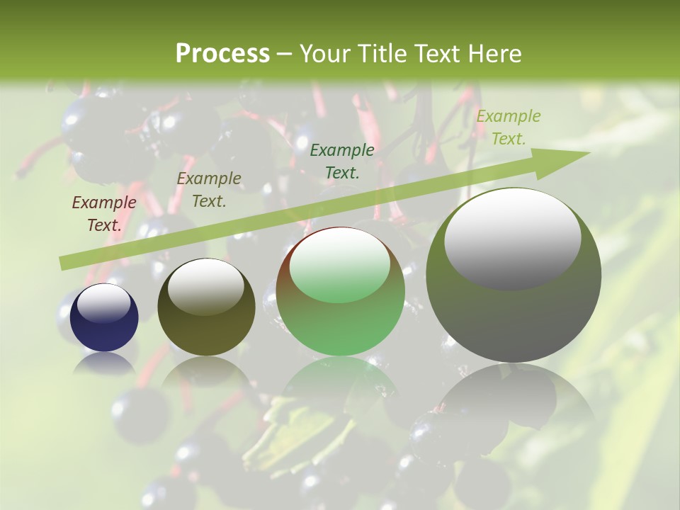 Berry Fruit Elderberry Black PowerPoint Template