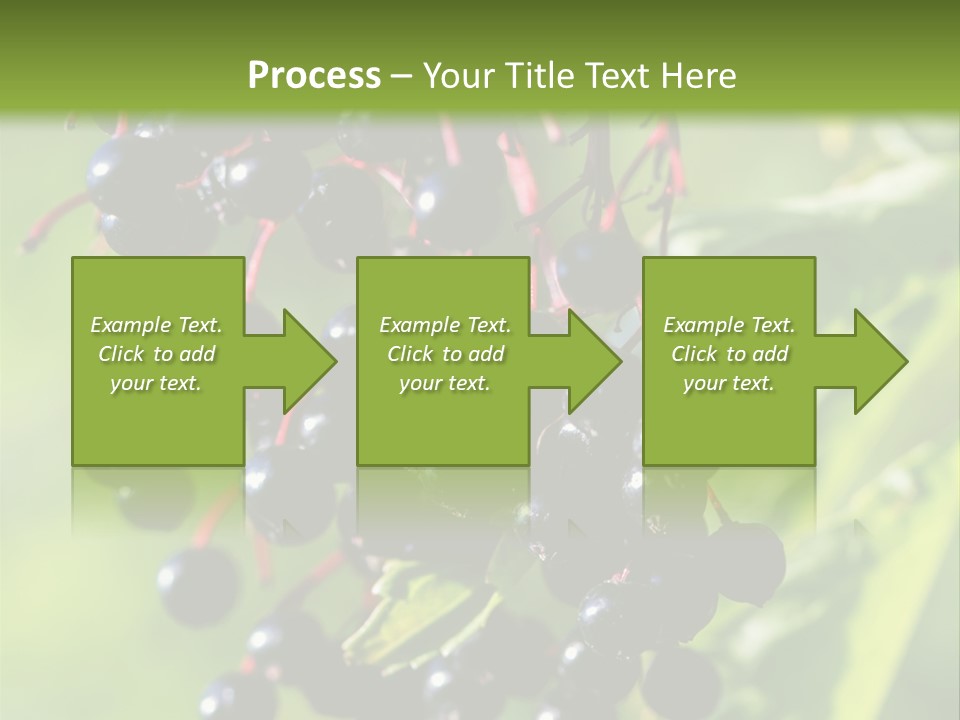 Berry Fruit Elderberry Black PowerPoint Template