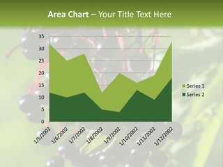 Berry Fruit Elderberry Black PowerPoint Template