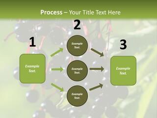 Berry Fruit Elderberry Black PowerPoint Template