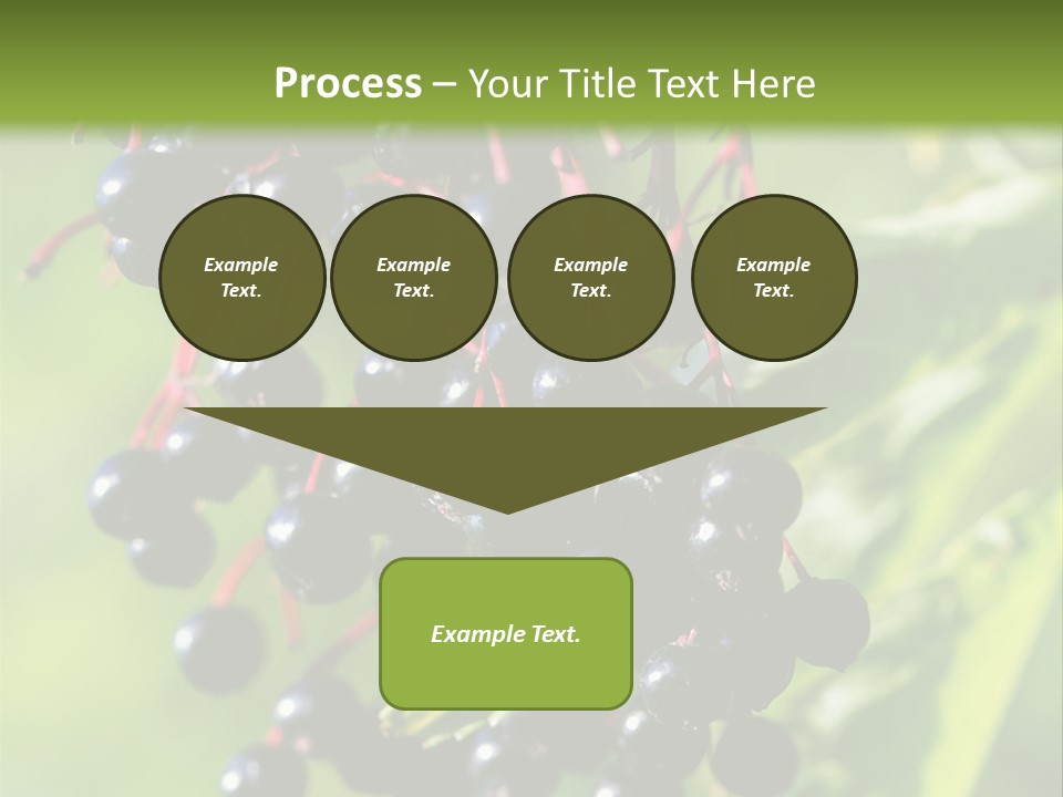 Berry Fruit Elderberry Black PowerPoint Template