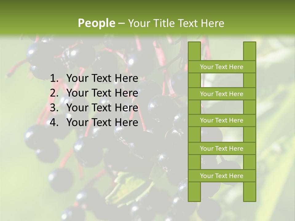 Berry Fruit Elderberry Black PowerPoint Template
