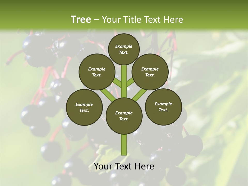 Berry Fruit Elderberry Black PowerPoint Template