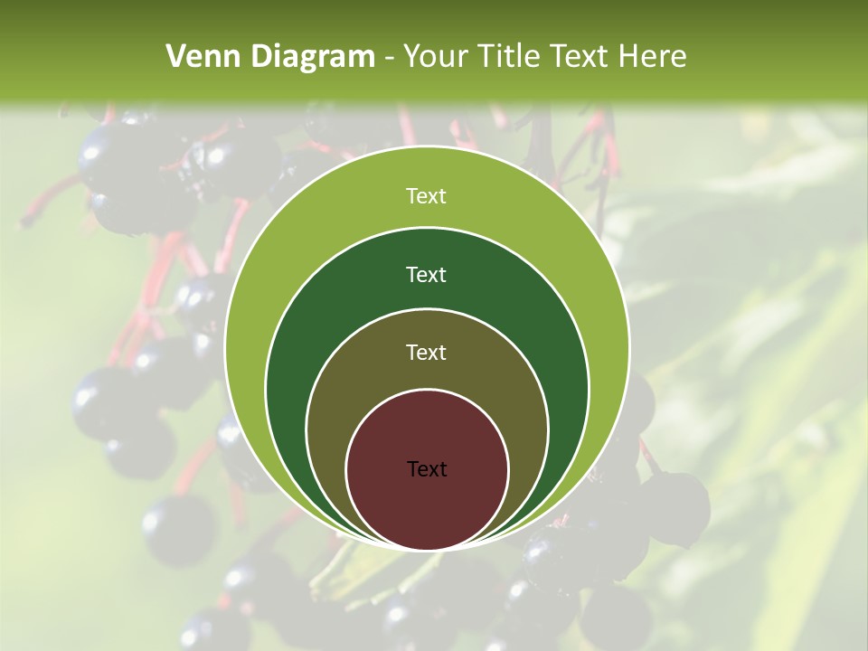 Berry Fruit Elderberry Black PowerPoint Template