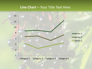 Berry Fruit Elderberry Black PowerPoint Template