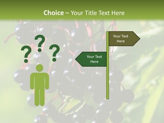 Berry Fruit Elderberry Black PowerPoint Template