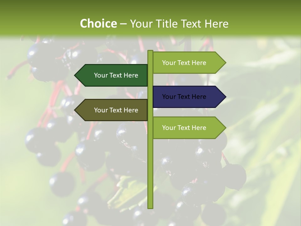 Berry Fruit Elderberry Black PowerPoint Template