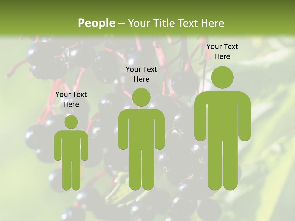 Berry Fruit Elderberry Black PowerPoint Template