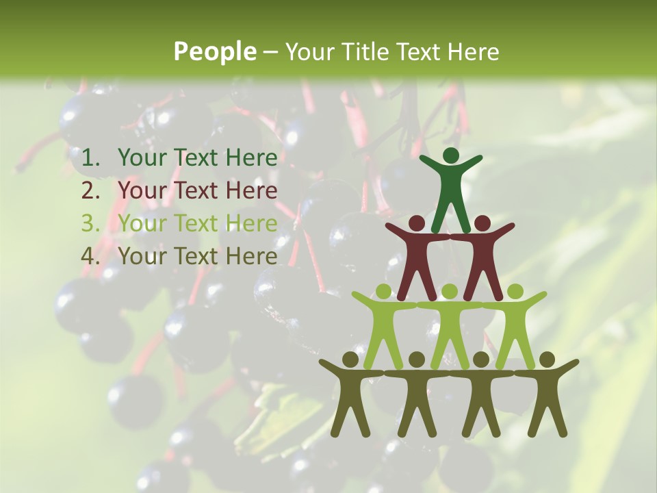 Berry Fruit Elderberry Black PowerPoint Template