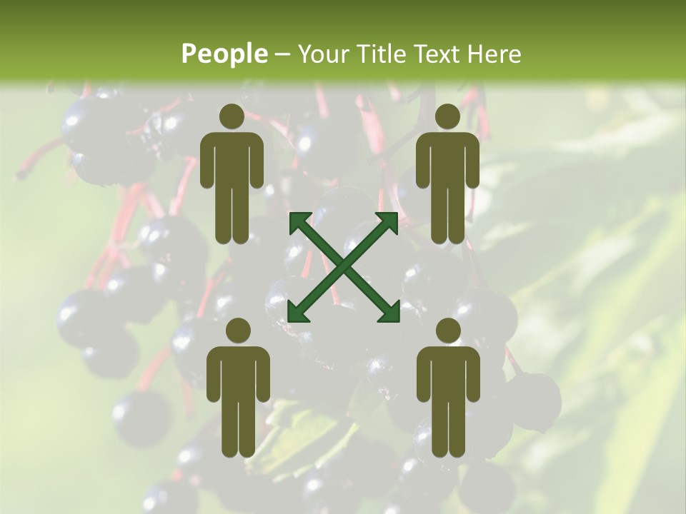 Berry Fruit Elderberry Black PowerPoint Template
