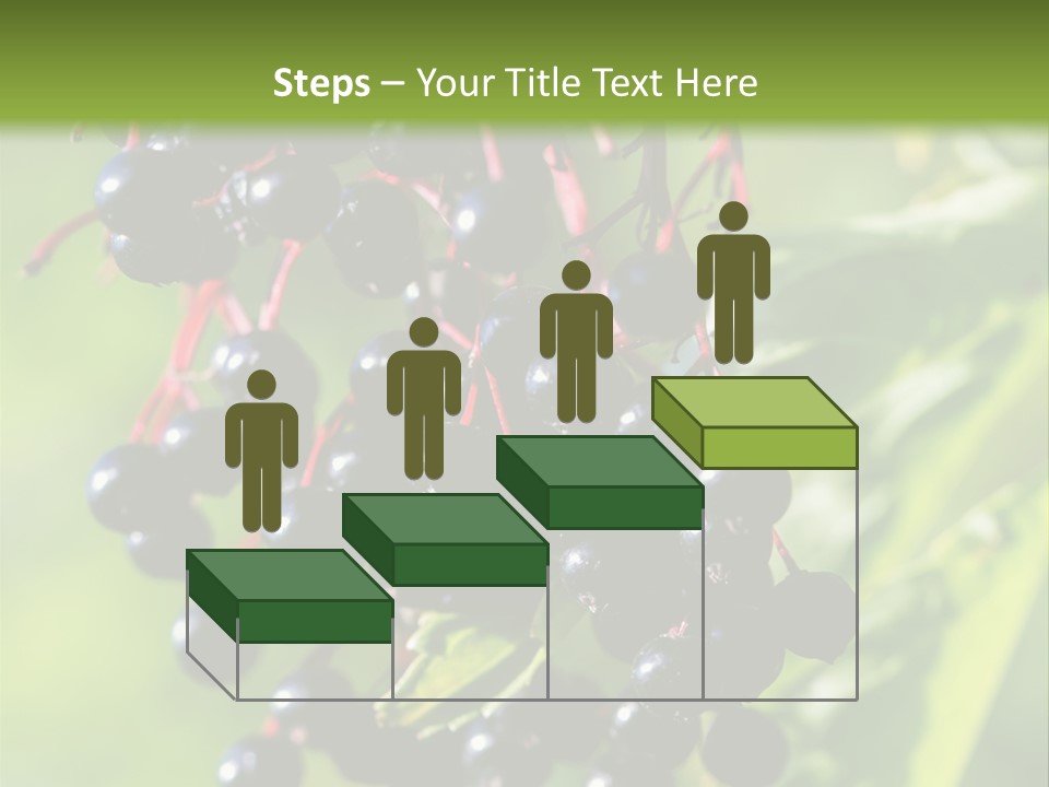 Berry Fruit Elderberry Black PowerPoint Template