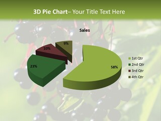 Berry Fruit Elderberry Black PowerPoint Template