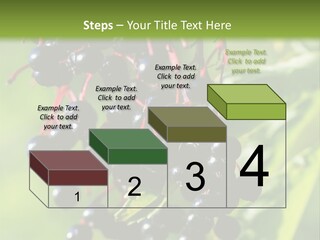 Berry Fruit Elderberry Black PowerPoint Template