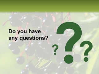 Berry Fruit Elderberry Black PowerPoint Template