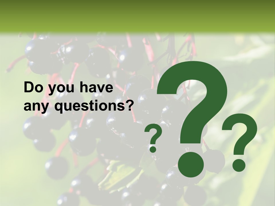 Berry Fruit Elderberry Black PowerPoint Template