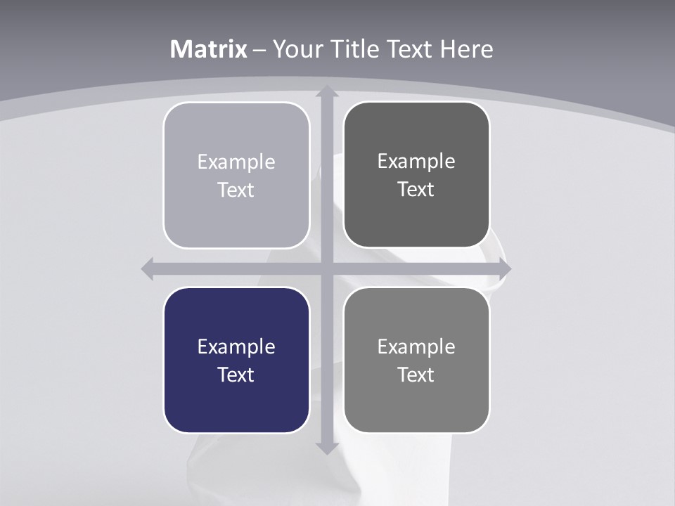 Hawk Tail Animal PowerPoint Template