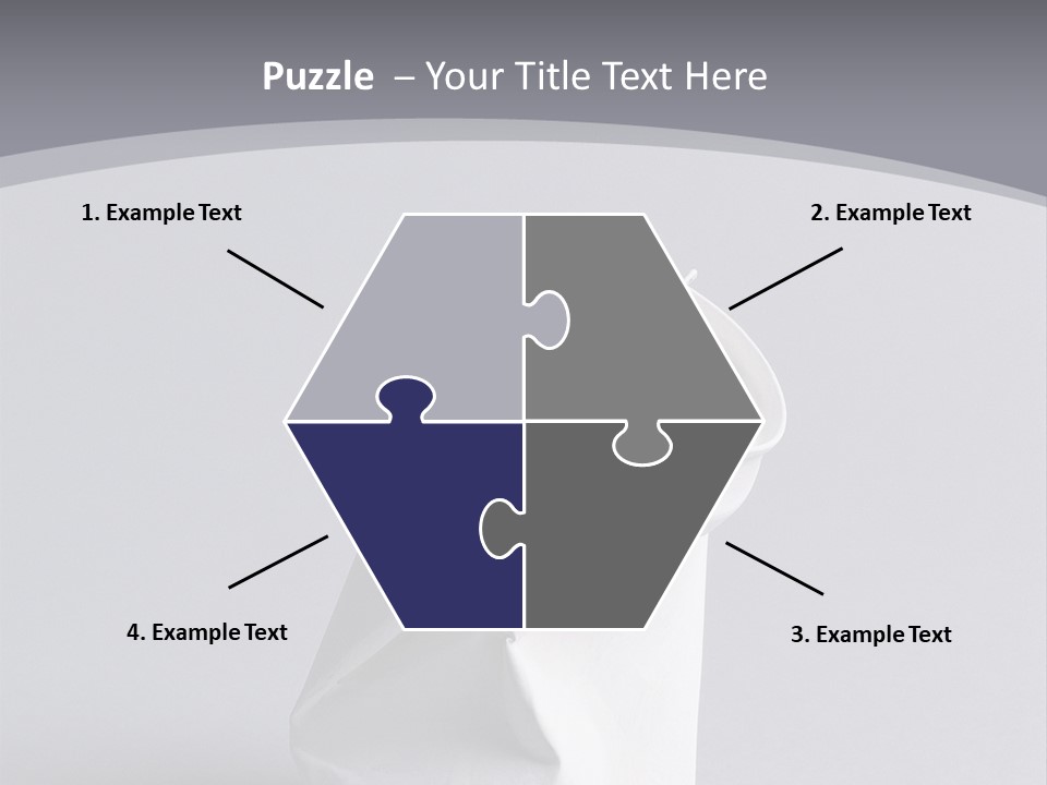 Hawk Tail Animal PowerPoint Template