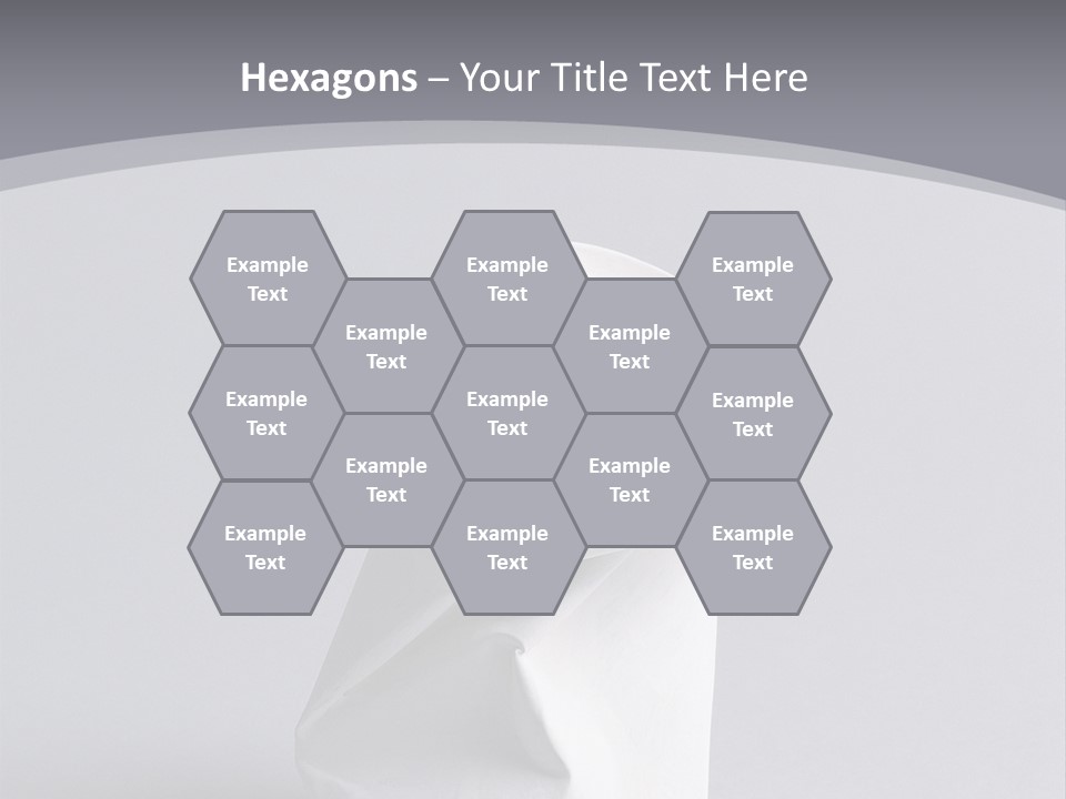 Hawk Tail Animal PowerPoint Template