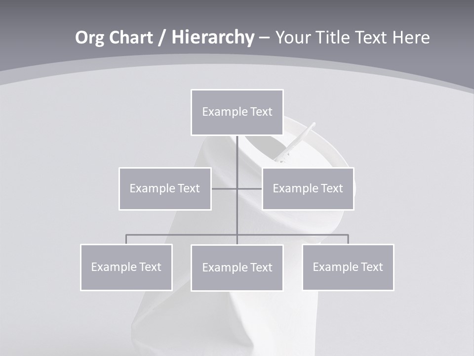 Hawk Tail Animal PowerPoint Template