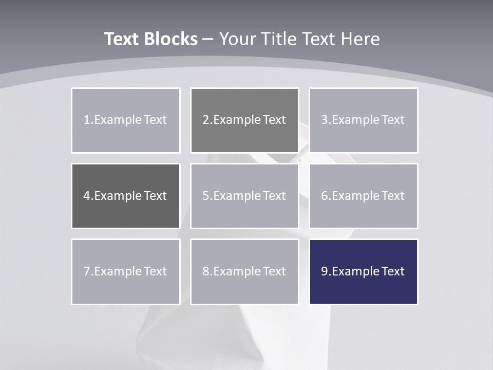 Hawk Tail Animal PowerPoint Template