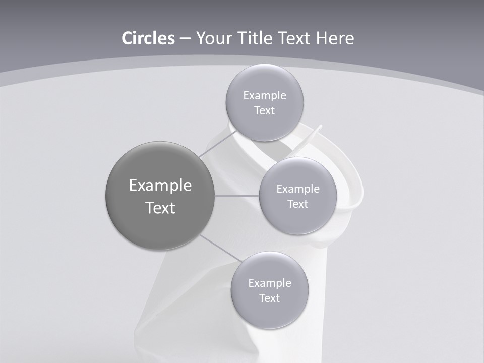 Hawk Tail Animal PowerPoint Template