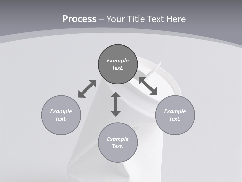 Hawk Tail Animal PowerPoint Template