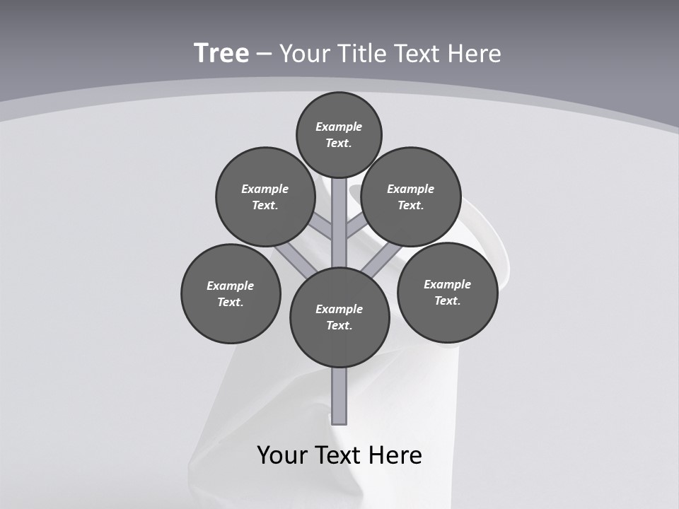 Hawk Tail Animal PowerPoint Template