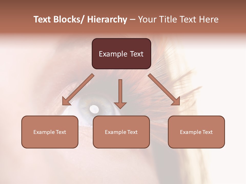 Young Eyelashes Woman PowerPoint Template