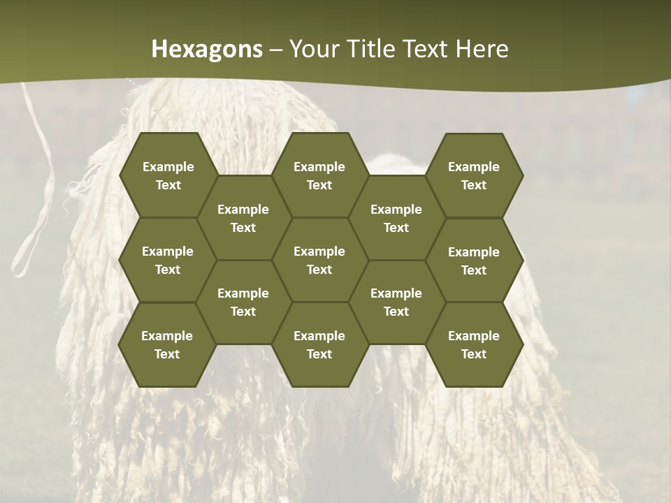 Charming Full Length Curly PowerPoint Template