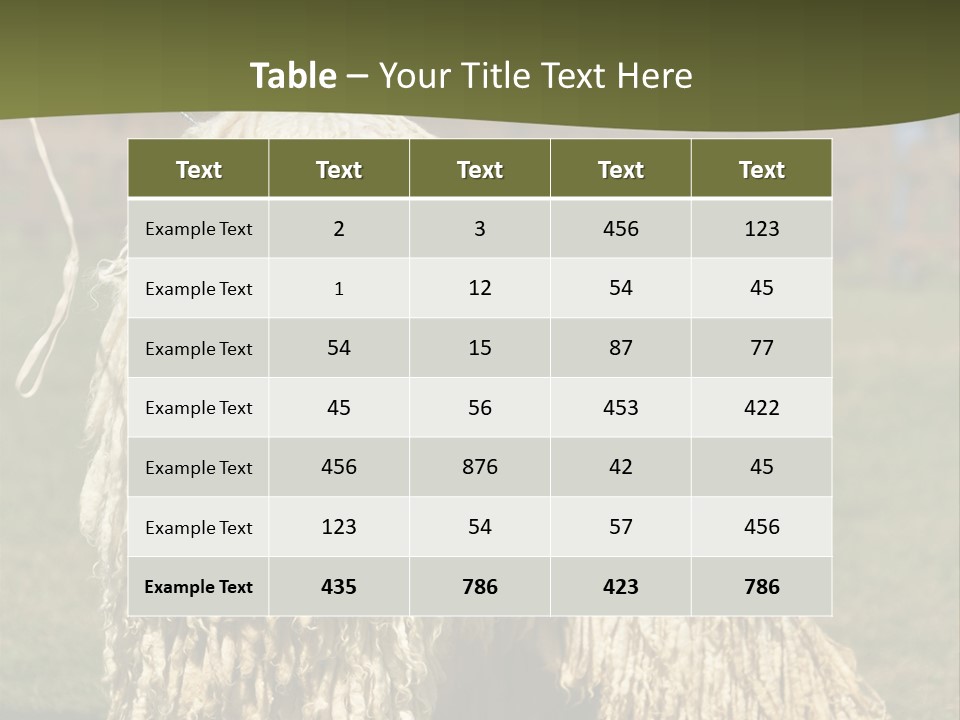 Charming Full Length Curly PowerPoint Template