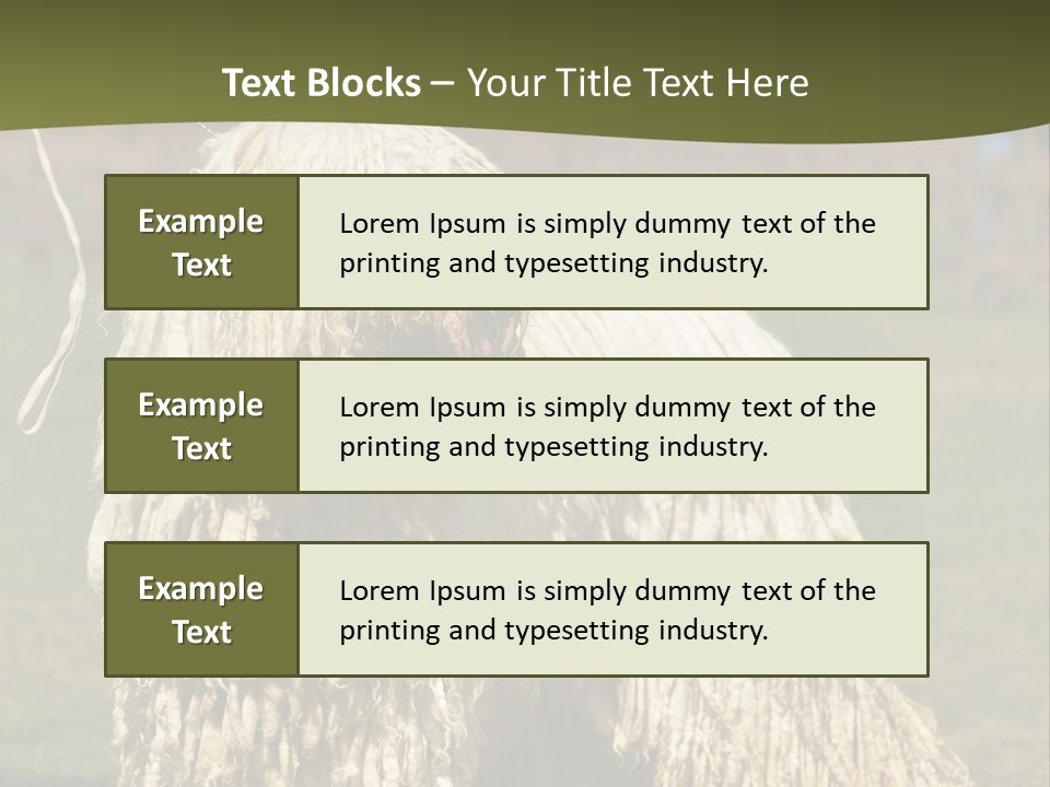 Charming Full Length Curly PowerPoint Template