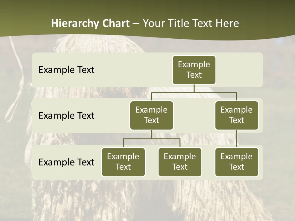 Charming Full Length Curly PowerPoint Template