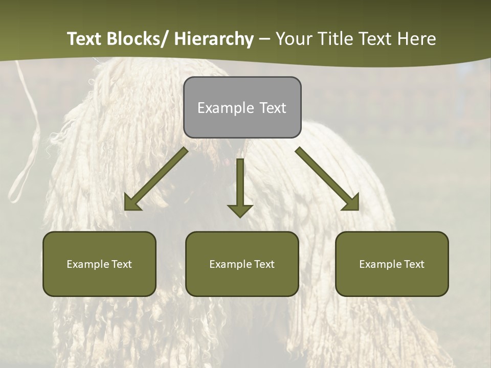 Charming Full Length Curly PowerPoint Template