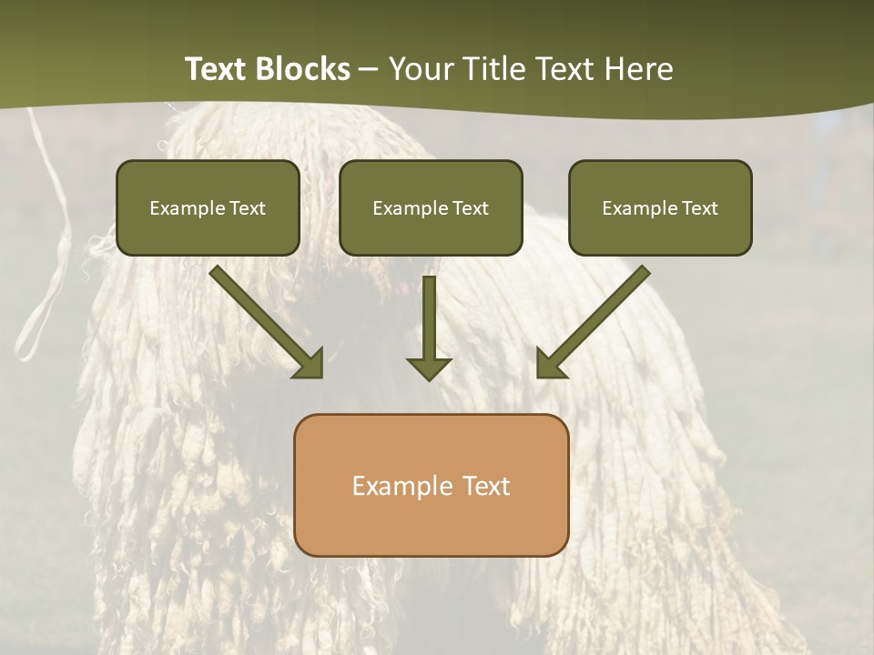 Charming Full Length Curly PowerPoint Template