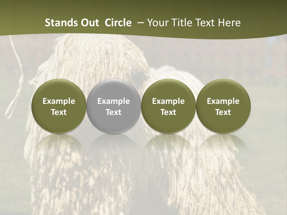 Charming Full Length Curly PowerPoint Template