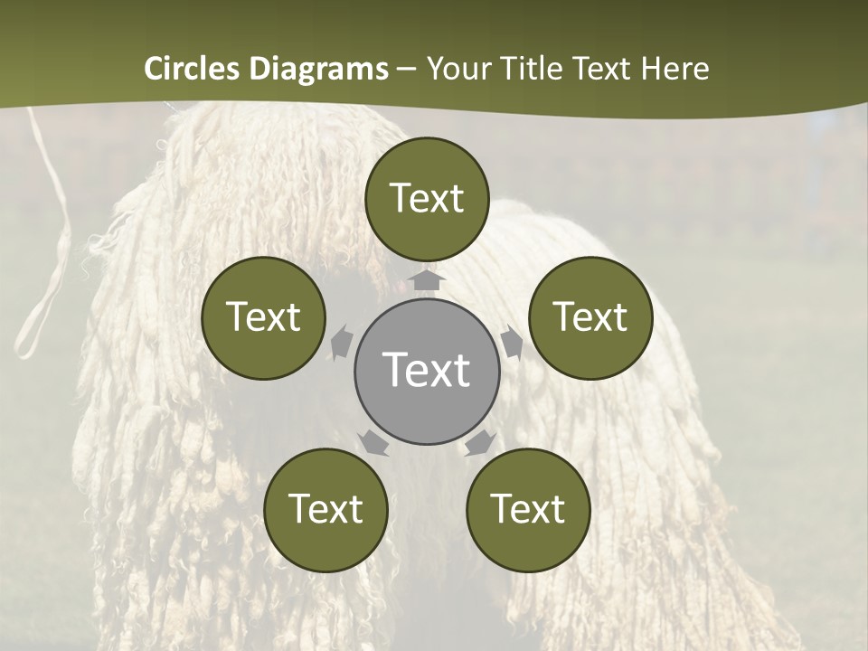 Charming Full Length Curly PowerPoint Template