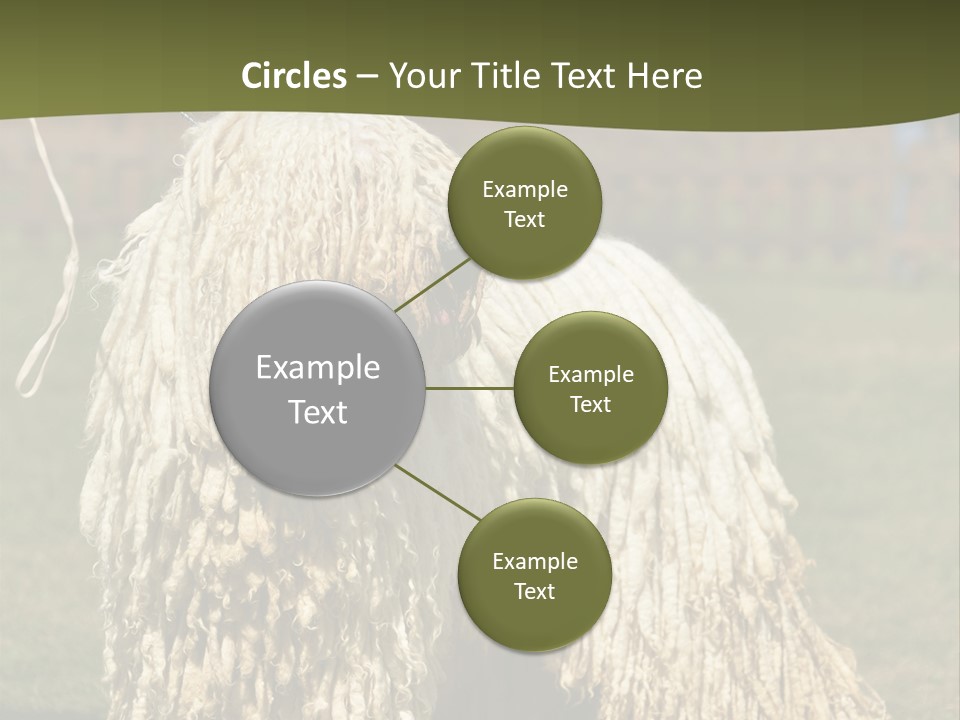 Charming Full Length Curly PowerPoint Template