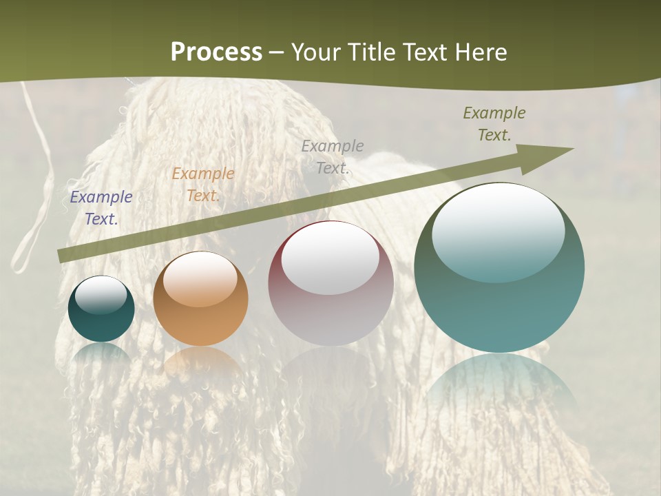 Charming Full Length Curly PowerPoint Template