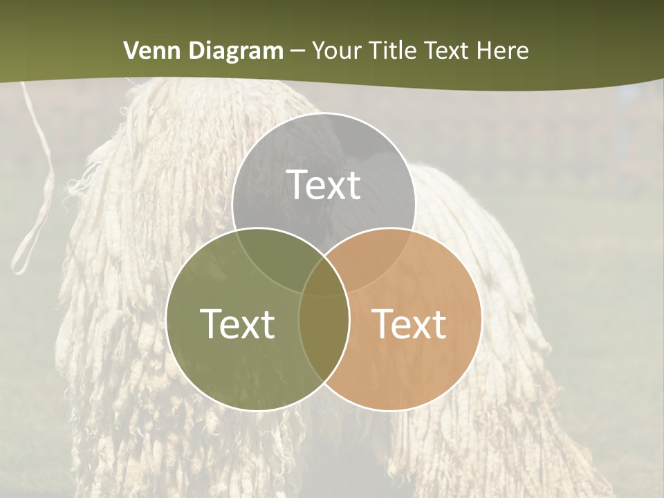 Charming Full Length Curly PowerPoint Template