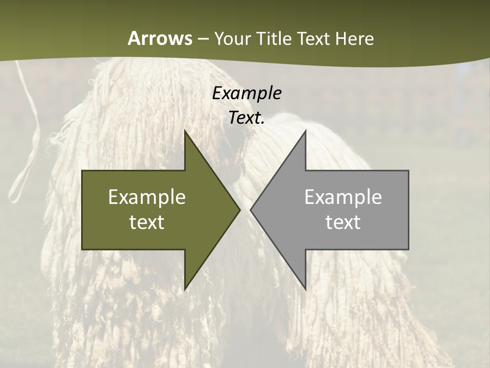 Charming Full Length Curly PowerPoint Template