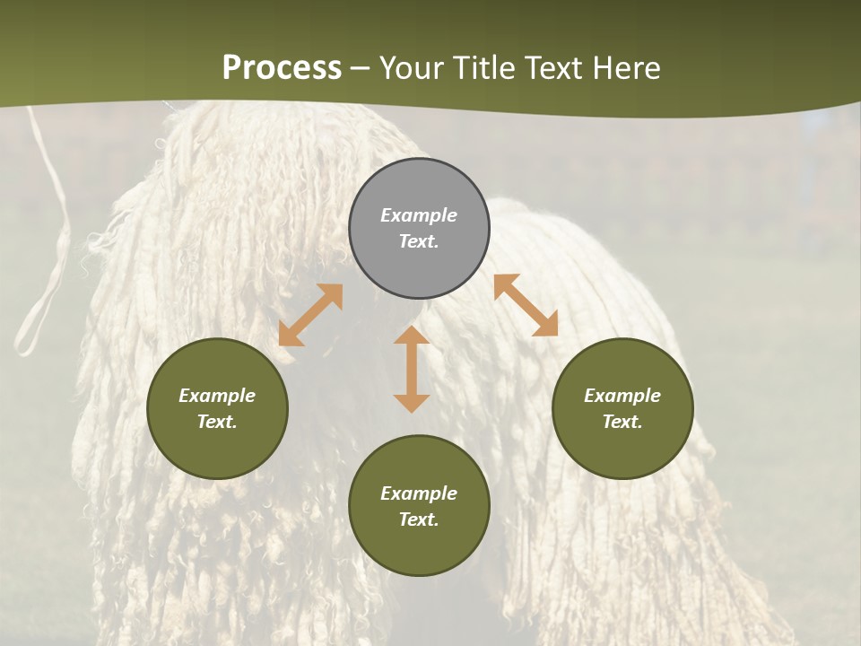 Charming Full Length Curly PowerPoint Template