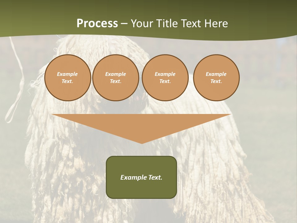 Charming Full Length Curly PowerPoint Template