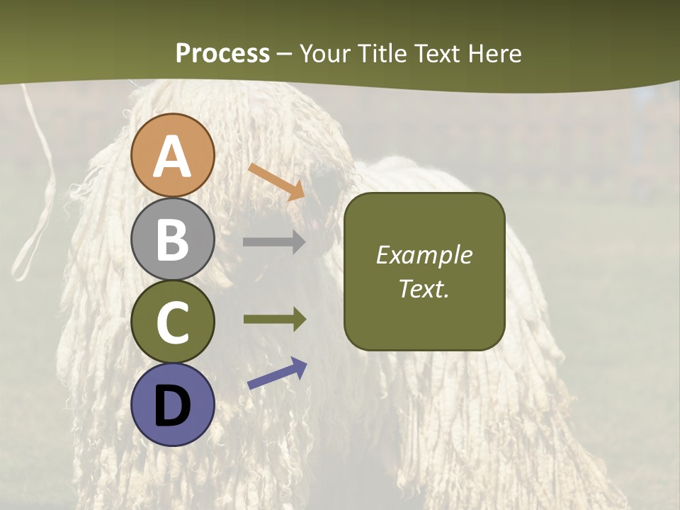 Charming Full Length Curly PowerPoint Template